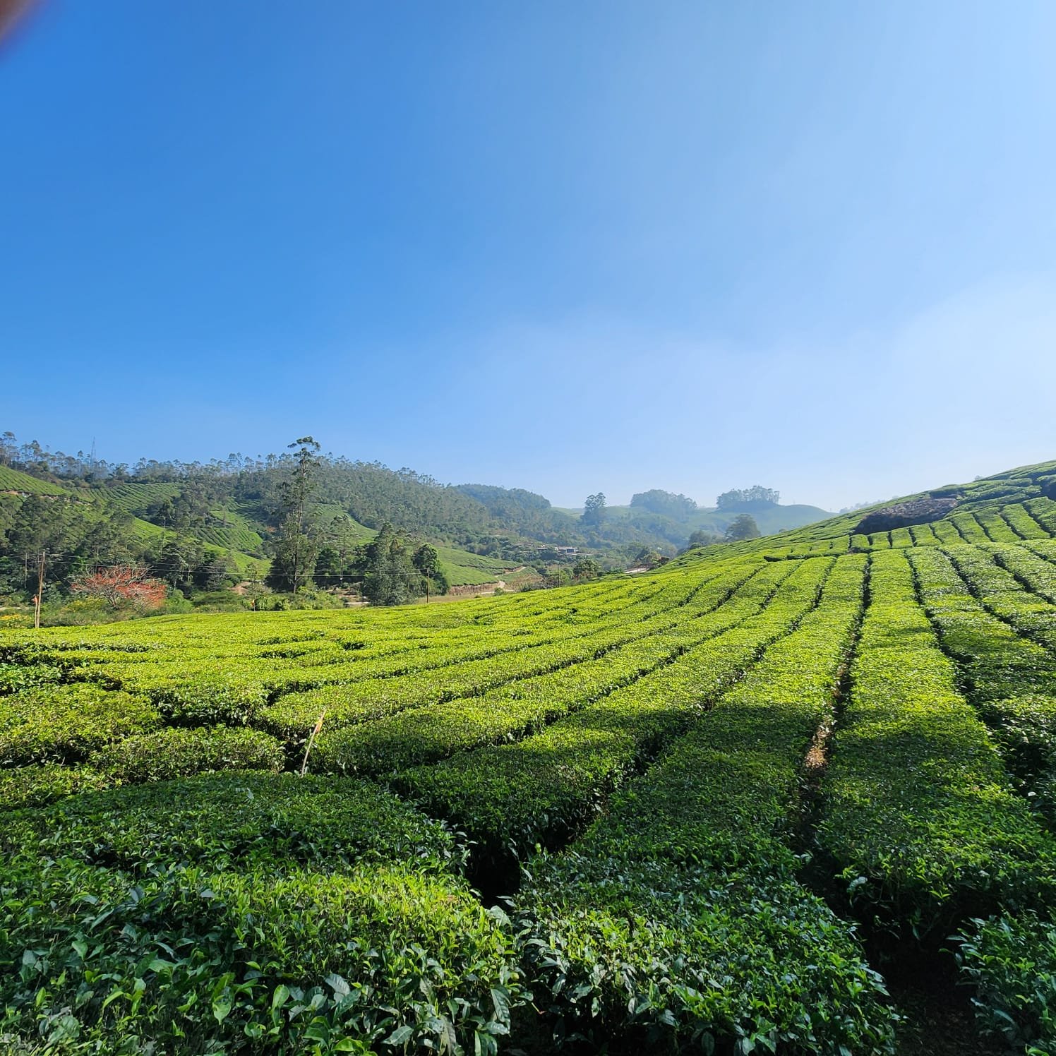 Kerala 
