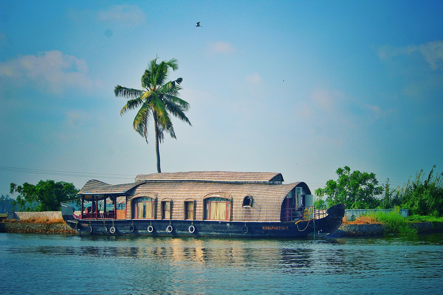 Kerala Backwaters & Beyond
